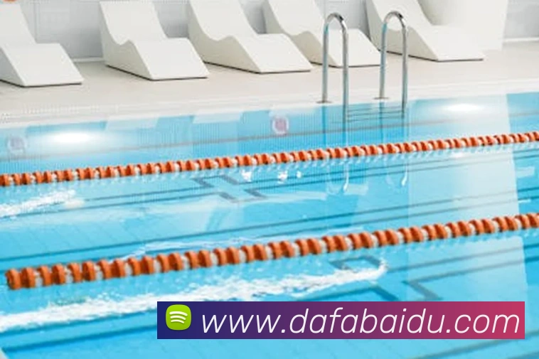 App Interface Preview