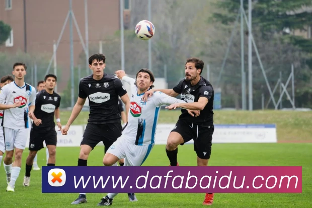 大发彩票APP 封面图